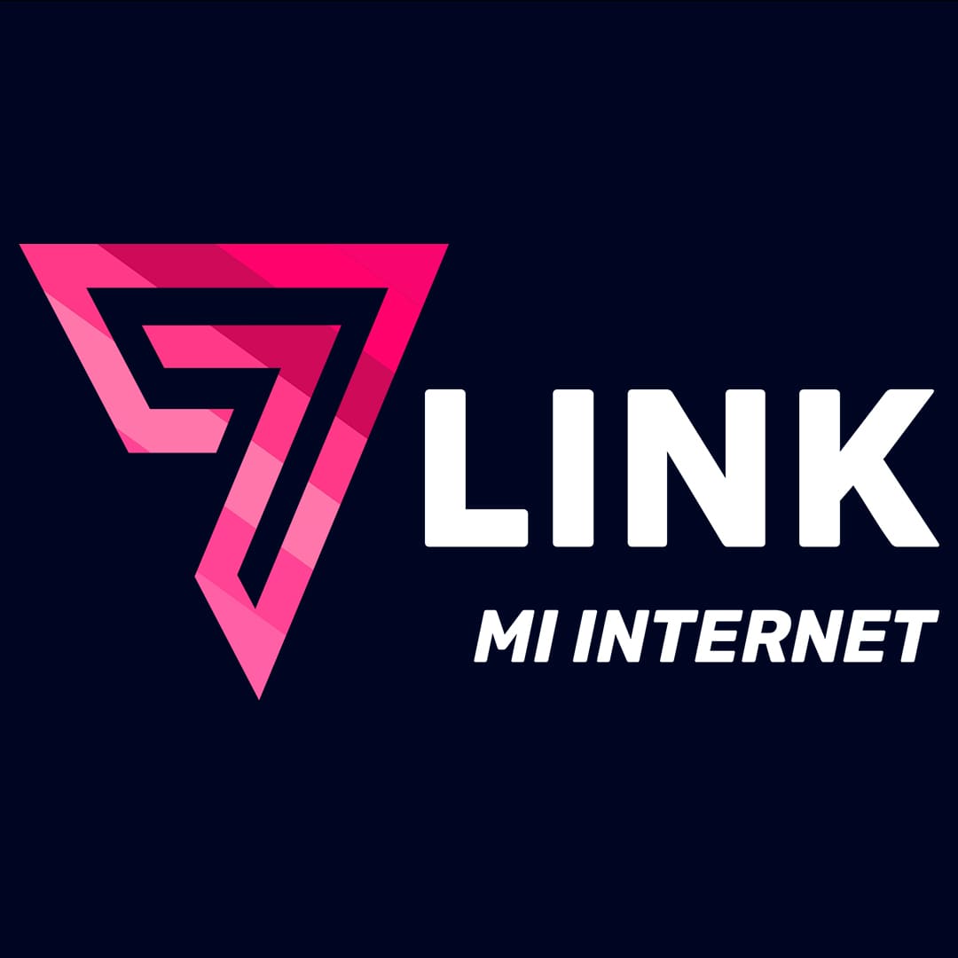 Zona 7Link logo (1)